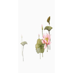 水墨画莲花装饰图案