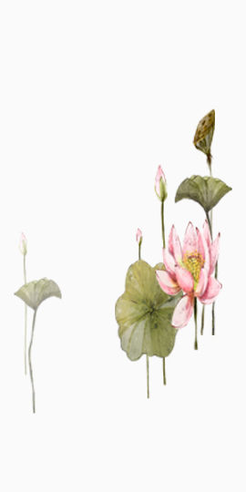 水墨画莲花装饰图案