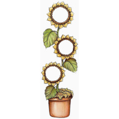 向日葵装饰花朵文本框