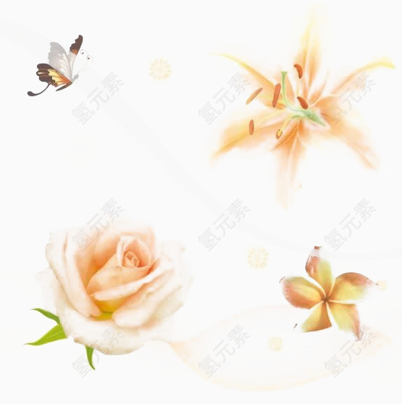 橘红色玫瑰花和蝴蝶