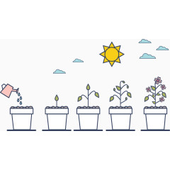 矢量盆栽成长过程