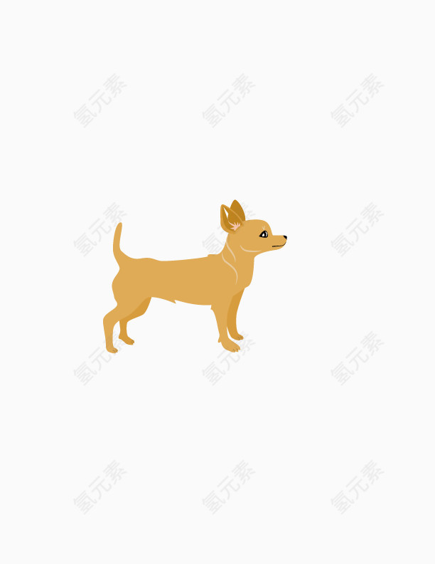 宠物小黄狗
