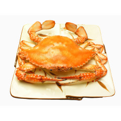 一只螃蟹图片素材