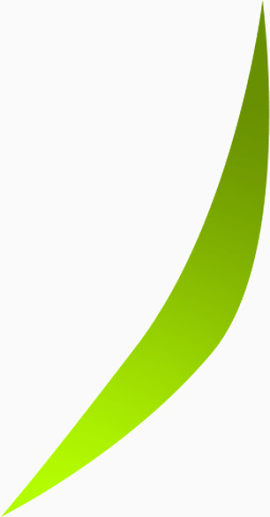 嫩绿色线条图案