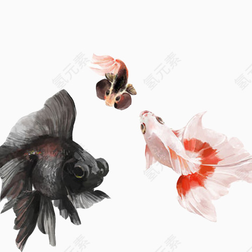 水墨画小金鱼素材图片