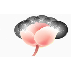 黑色光晕粉色花朵