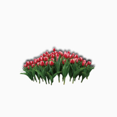 花草丛生