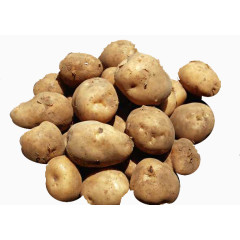 一堆新鲜的土豆