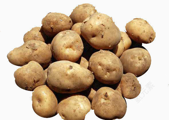 一堆新鲜的土豆
