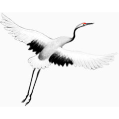 飞翔的仙鹤