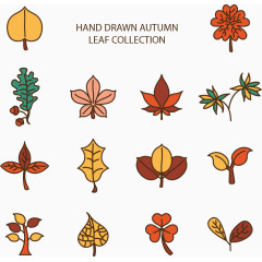 秋天树叶枫叶黄色矢量