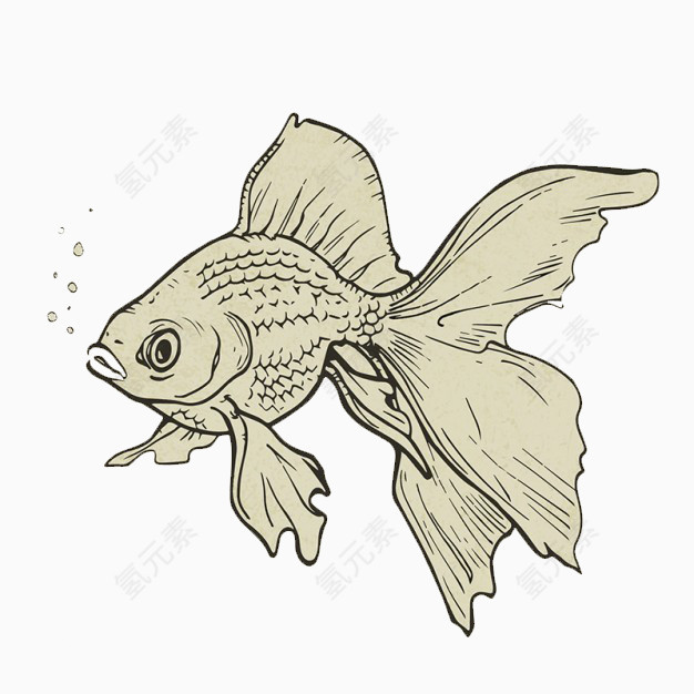 手绘吐泡泡的小金鱼