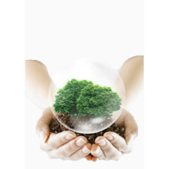 双手呵护下的树木