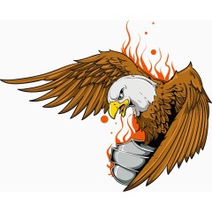 矢量火焰老鹰印花