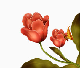 蝶恋花图案