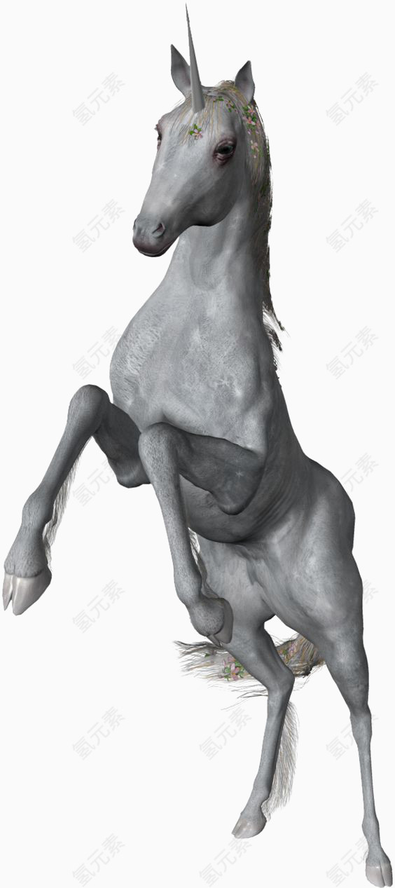 独角兽