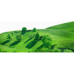 原生态草原树木氧吧
