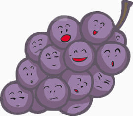 可爱葡萄