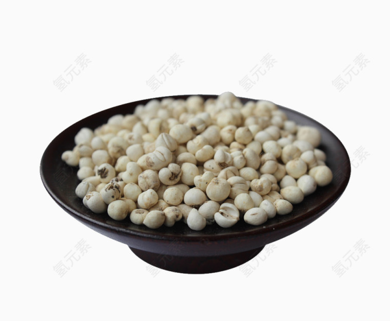 中药药材川贝