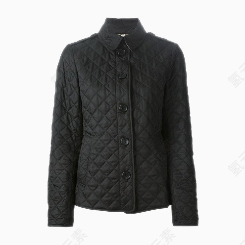 锦纶棉服女士外套
