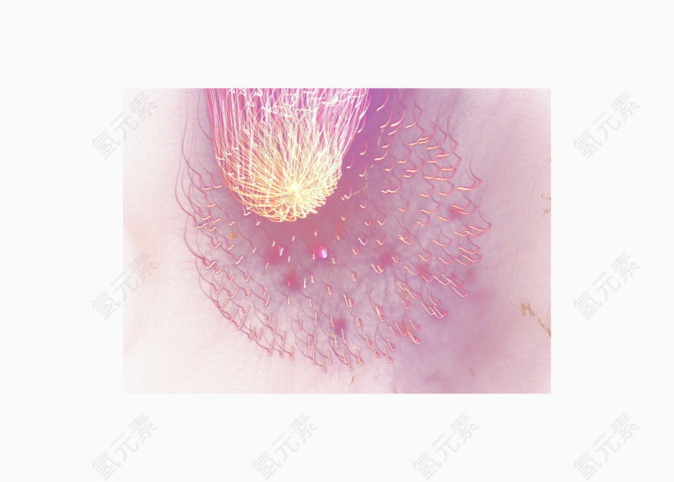烟花