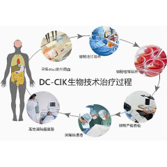 生物技术治疗过程