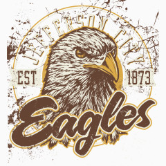 矢量猫头鹰印花