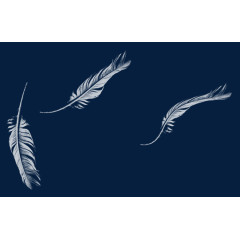 白色羽毛漂浮素材免抠