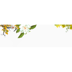 白色树枝梨花栀子花装饰图案