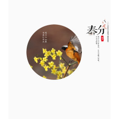 中国风二十四节气春风