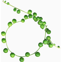 绿色橄榄果枝圆环