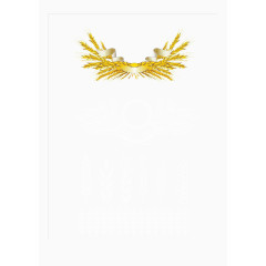 金色麦穗和稻子