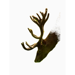 壁画 动物 鹿 山野