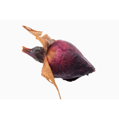 粉色玫瑰干花苞