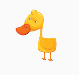 小黄鸭