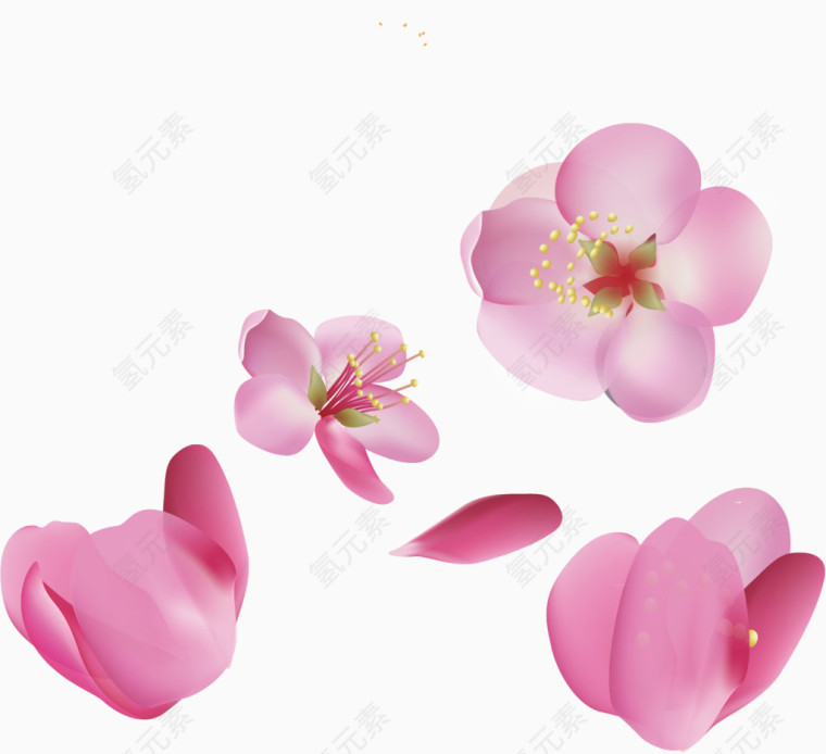 花瓣元素图片
