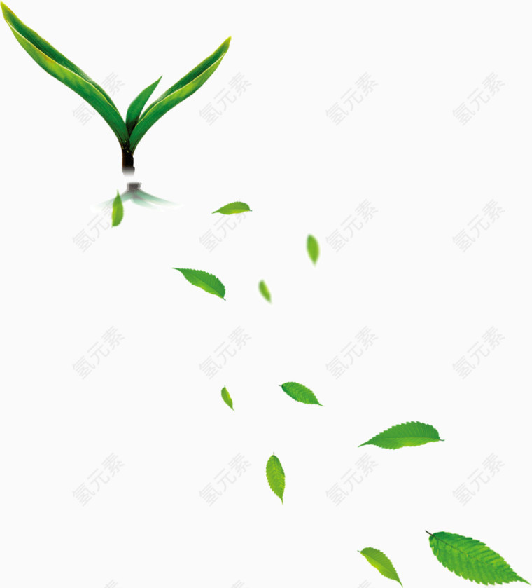 希望的绿芽