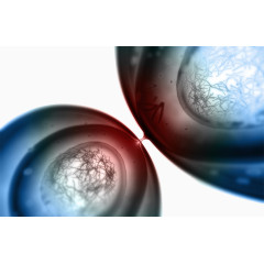 细胞显微镜图片