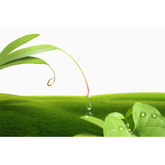 春光明媚清新大自然