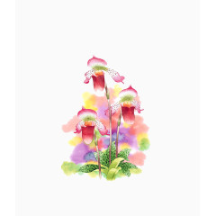 花朵水彩