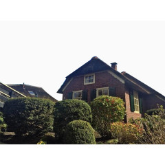 绿色植被包围的房屋