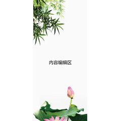 待放的花苞