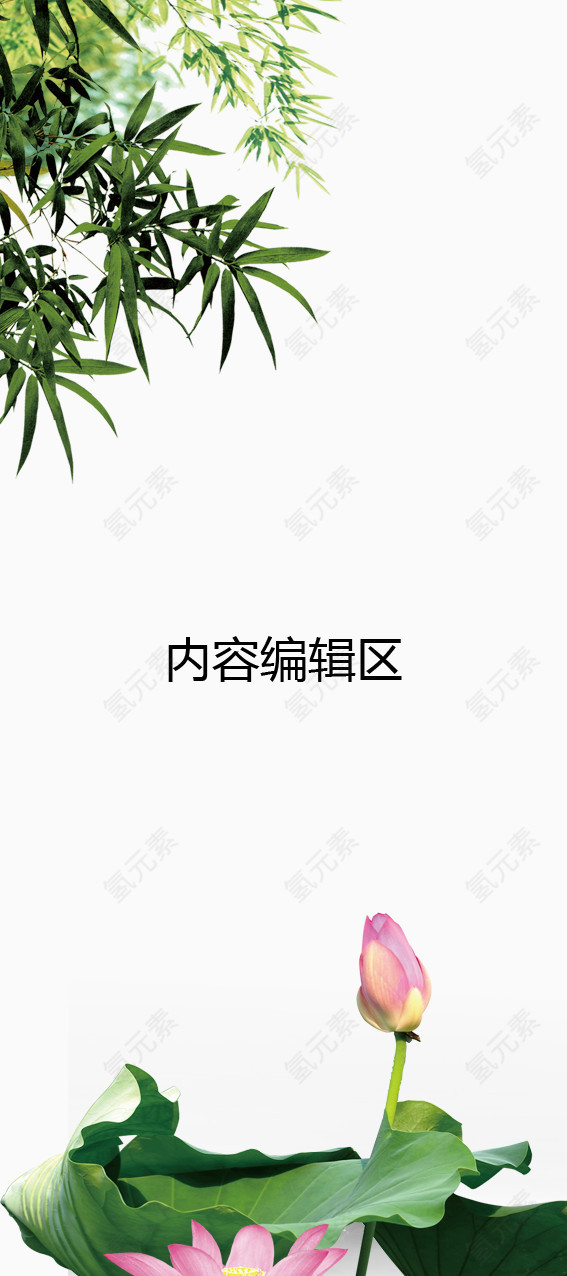 待放的花苞