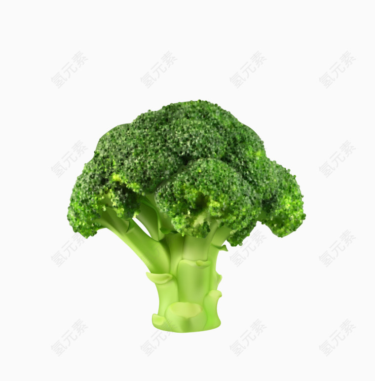 矢量绿色清晰西蓝花蔬菜