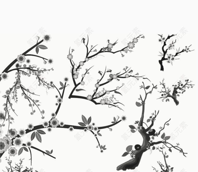 白色梅花生素材