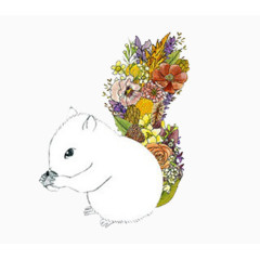 尾巴长满花的松鼠