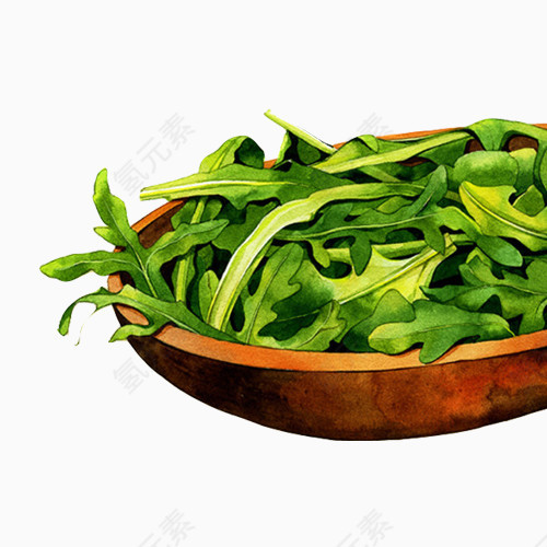 菜叶手绘画素材图片