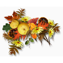 树叶橘子苦柠檬装饰