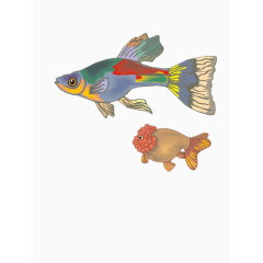 彩色的两条卡通鱼