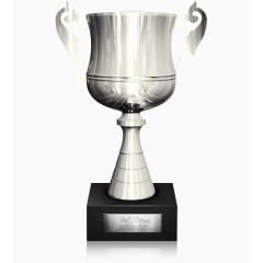 银色奖杯